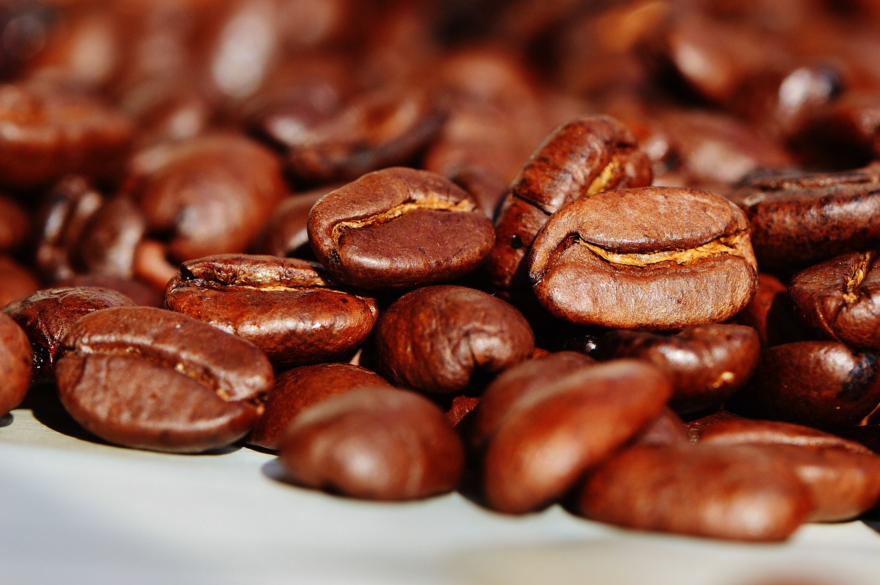 FREE! Exploring Yunnan Coffee: A Hidden Gem of the East