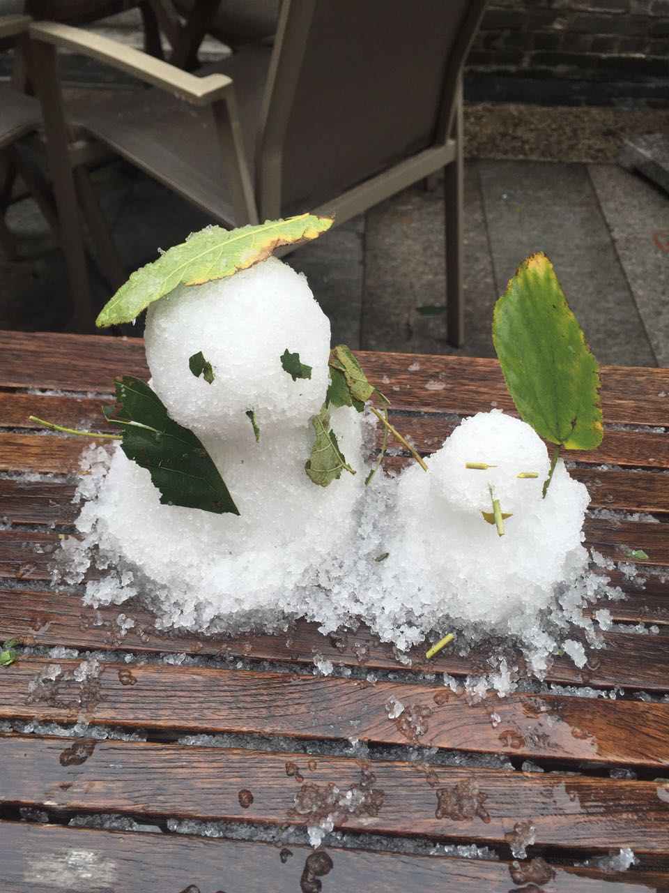 Snow-at-Summer-House-Foshan-4.JPG