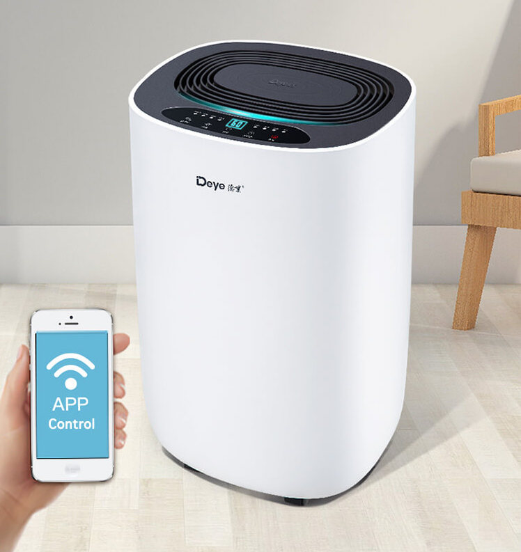 Improve Indoor Air Quality with This Affordable Dehumidifier – That's  Beijing