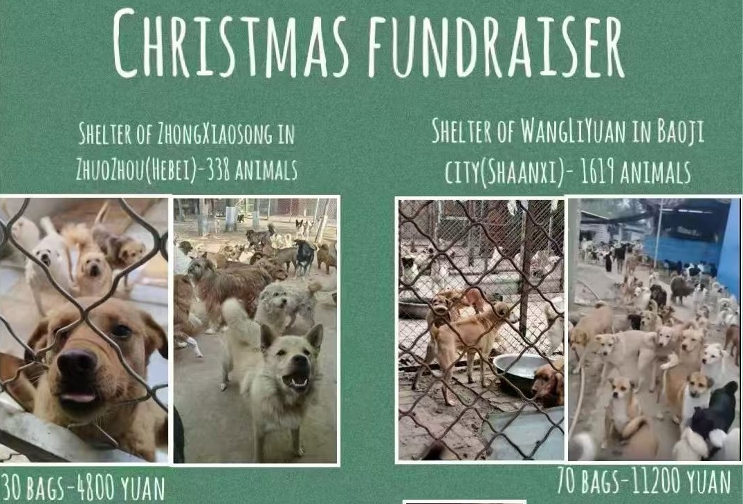 Christmas Fundraiser: 2 Tons of Dog Food Needed